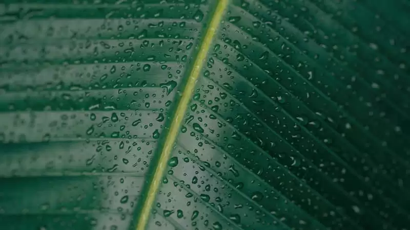 ����˯����ʱ��ô��Цʺ�������Ȧ