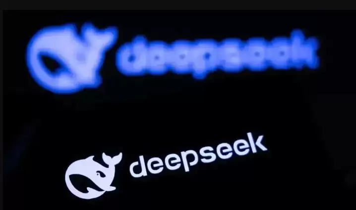 DeepSeek��ҳ�����¼ʹ���������������