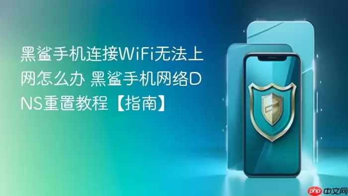 黑鲨手机WiFi已连接但无法上网的DNS重置解决方法_wishdown.com 黑鲨手机连接WiFi无法上网怎么办 黑鲨手机网络DNS重置教程【指南】