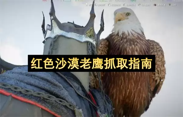 ��ɫɳĮ��ӥ��׽������λ�����
