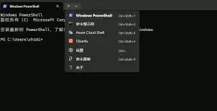 OpenClawSkills��Plugins��������ѡ��ָ��