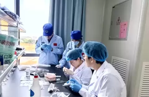 ����ʮ��Ϊ�δ��Ű�������̥ϸ����̫�� ר�ҽ��