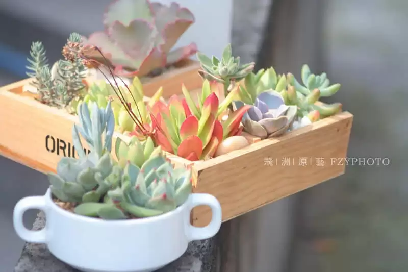 ��ûǮ�˸�Цһ����ô˵