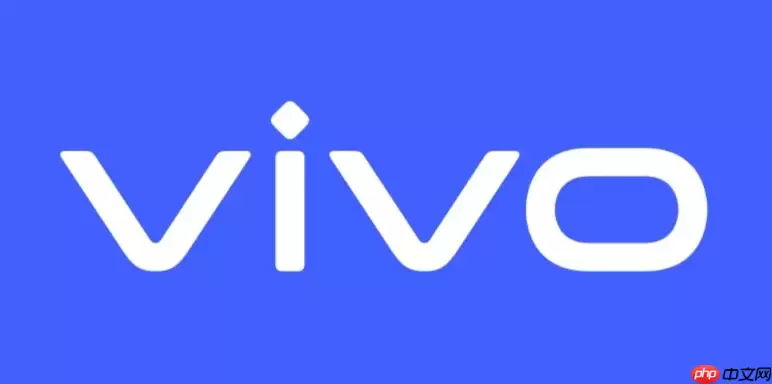 vivo�ֻ�������Ȩ�޿���������ϸ����
