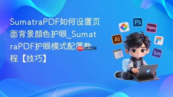SumatraPDF����ģʽ���ý̳� �Զ���ҳ�汳����ɫ��������