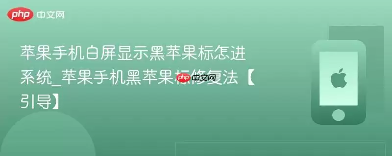 ƻ���ֻ�������ƻ����־�޷������Ծ��޸�ָ��