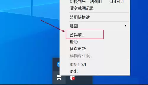 Snipaste启动时自动检查更新设置方法_wishdown.com Snipaste启动时自动检查更新设置方法_wishdown.com