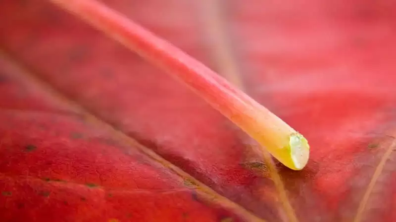 有哪些温柔的句子治愈你干净通透抚平所有情绪_wishdown.com 有哪些温柔的句子治愈你干净通透抚平所有情绪_wishdown.com