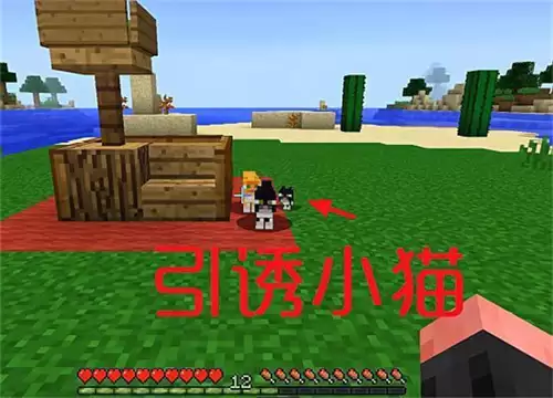 我的世界猫窝制作教程:简单又好看的建造方法_wishdown.com 我的世界猫窝制作教程:简单又好看的建造方法_wishdown.com