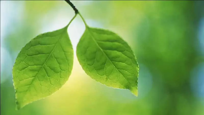 有哪些温柔的句子治愈你干净通透抚平所有情绪_wishdown.com 有哪些温柔的句子治愈你干净通透抚平所有情绪_wishdown.com