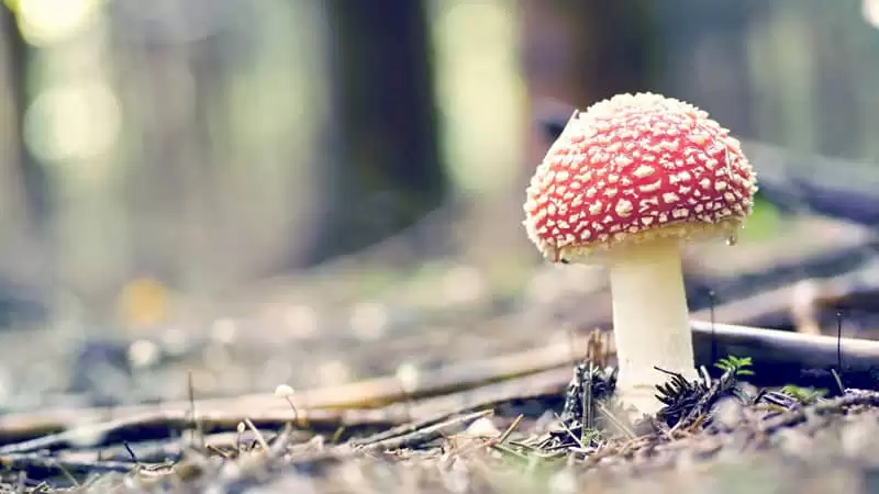 ����Щ����ľ���������ɾ�ͨ͸��ƽ��������