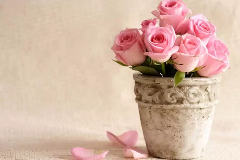 �µ�һ������Ȧ����������������