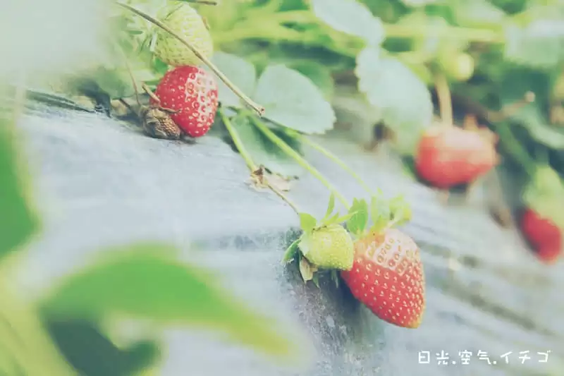 母子局母女局这么发朋友圈高级感绝了_wishdown.com 母子局母女局这么发朋友圈高级感绝了_wishdown.com