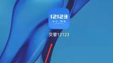 ����12123��ʻ֤ѧ�����ֲ������������ֹ������