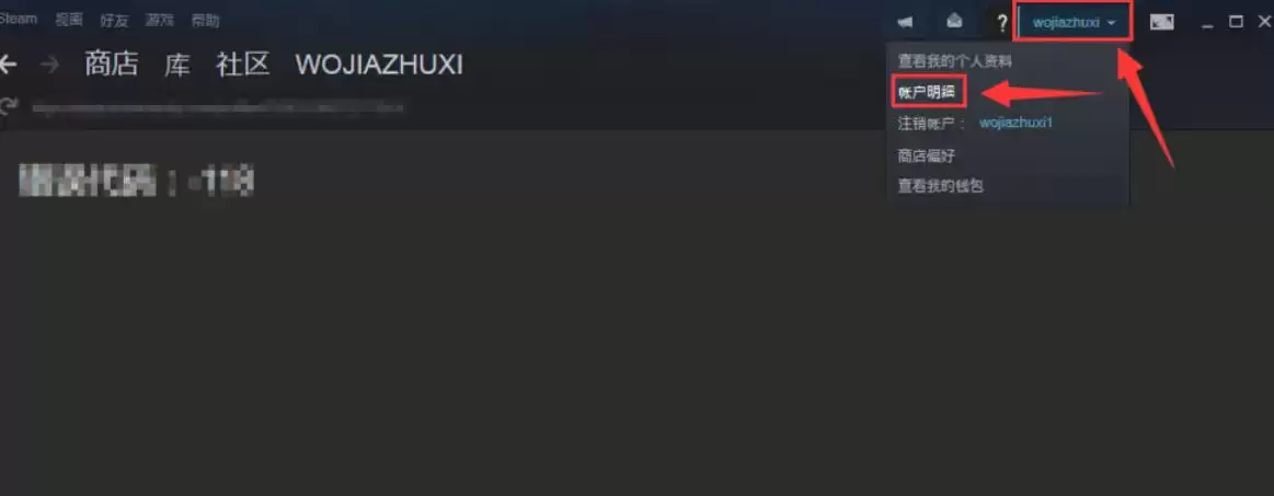 Steam��θ����˺����ڵ��������