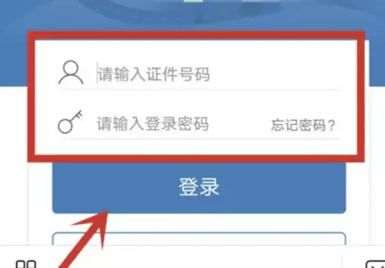交管12123注册流程详解与官方APP下载指南_wishdown.com 交管12123注册流程详解与官方APP下载指南_wishdown.com