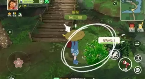 小森生活忍冬花在哪3 小森生活忍冬花在哪3