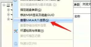 DiskGenius查看硬盘SMART健康状态教程_wishdown.com DiskGenius查看硬盘SMART健康状态教程_wishdown.com