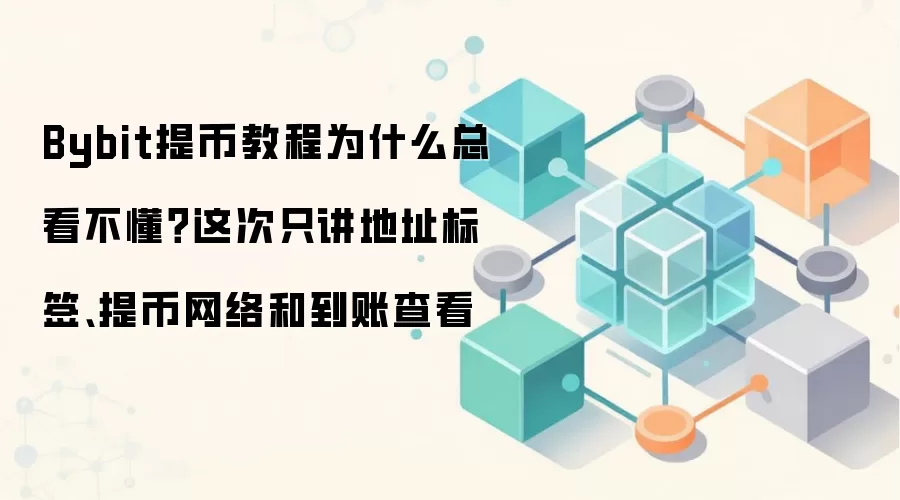 Bybit��ҽ̳���⣺��ַ��ǩ������ѡ���뵽�˲�ѯһ����λ