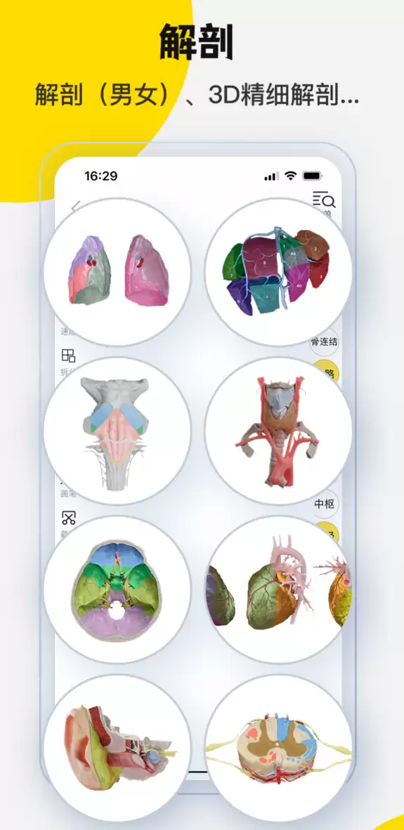 耐用的3d软件合集_wishdown.com 耐用的3d软件合集_wishdown.com