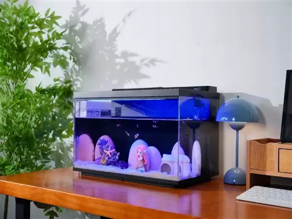 �������������Ȳ��������˰���º�����˵˵��ЩûԤ�뵽�ľ�ϲ