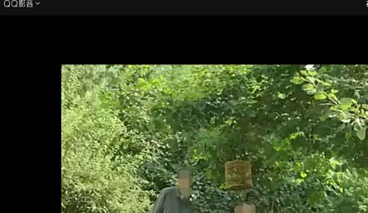 QQӰ�����ȡ��Ĭ�ϲ���������