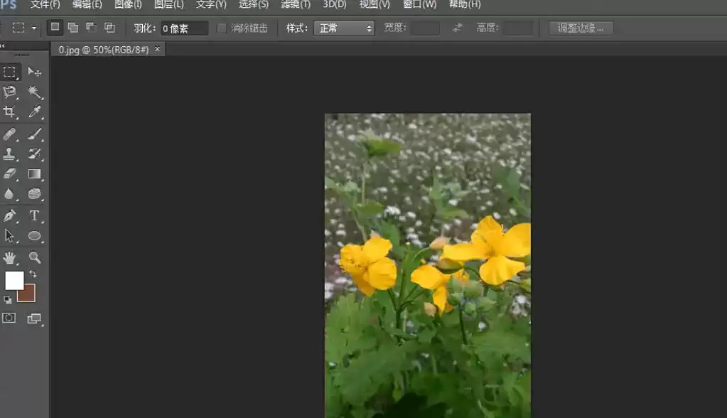 Photoshop CS6�ر���Ƭ����ϸ�����뼼��