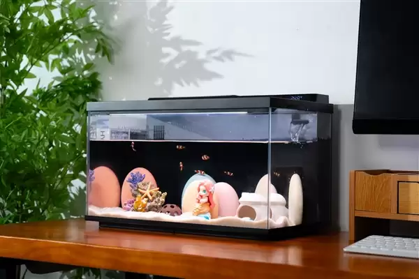 ������׹���ԭ�����ţ����˰������˵˵ˮ�ʹ�����������ʲôѧ��