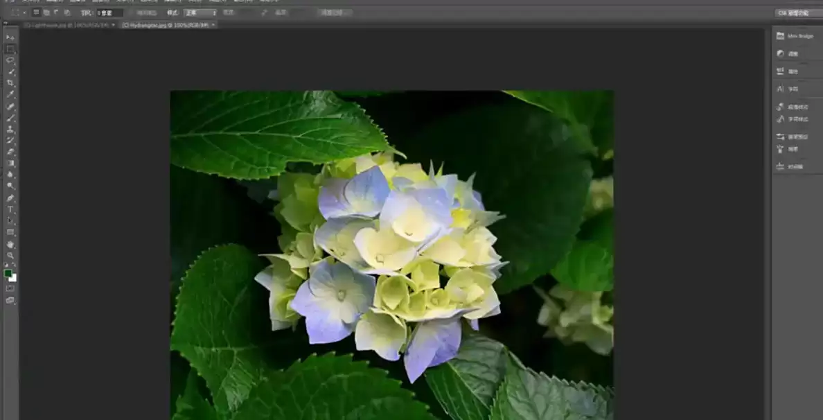 Photoshop CS6ͼƬȥ�߽̳�