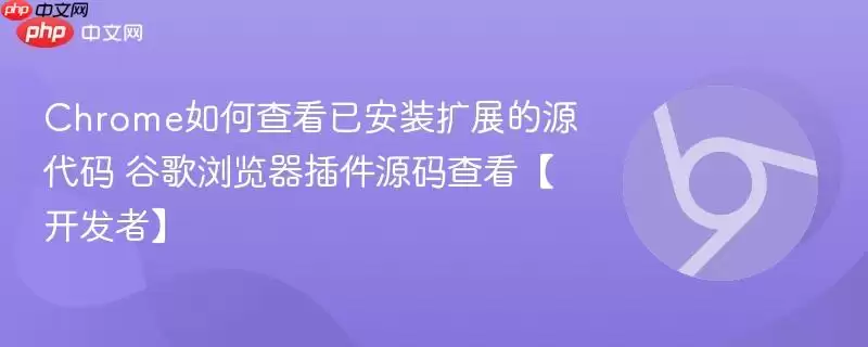 Chrome��������Դ��鿴���� �����߽̳�