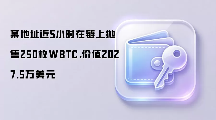 ĳ��ַ5Сʱ����250öWBTC����2027����Ԫ ���ϴ���������ע