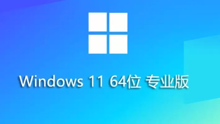 Windows 11 23H2רҵ�氲װ�̳� 64λװ����ϵͳ��װ�������