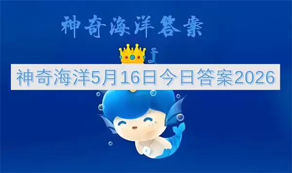 ���溣��5��16�մ𰸽�����2026��������Ŀ�����