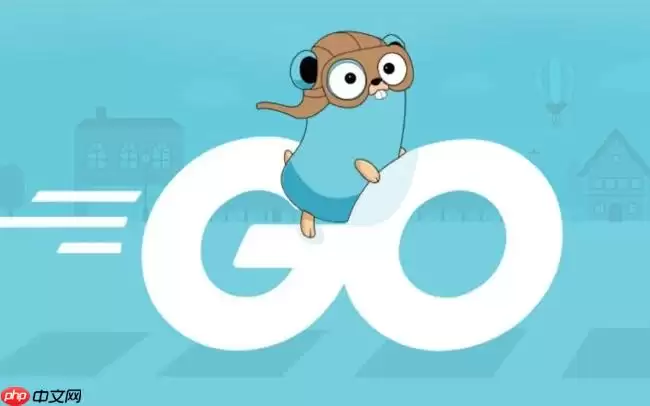 Golang��Ƶ����������ָ������Ŀʵս