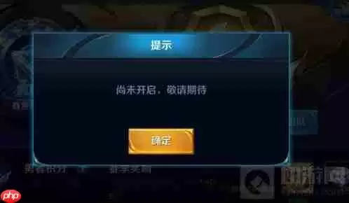 ������ҫ�����޷���¼�������������ų�ָ��