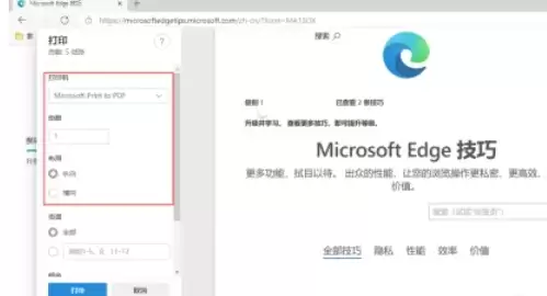Edge浏览器打印功能使用指南与常见问题解决_wishdown.com Edge浏览器打印功能使用指南与常见问题解决_wishdown.com