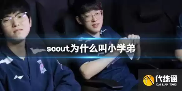 Ӣ������Сѧ��Scout�ƺ������뺬�����