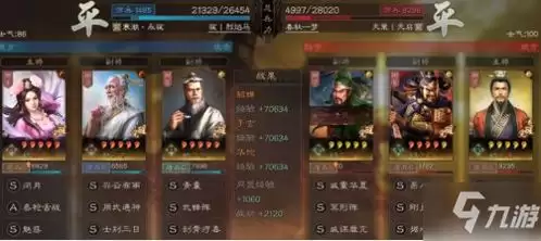 三国志王道天下盾兵阵容搭配与实战玩法攻略_wishdown.com 三国志王道天下盾兵阵容搭配与实战玩法攻略_wishdown.com