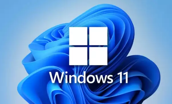 Windows 11专业版Ghost系统安装教程与步骤详解_wishdown.com Windows 11专业版Ghost系统安装教程与步骤详解_wishdown.com
