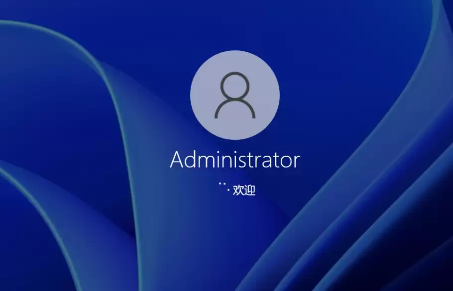 Windows 11 23H2 企业版最新安装教程与步骤详解_wishdown.com Windows 11 23H2 企业版最新安装教程与步骤详解_wishdown.com