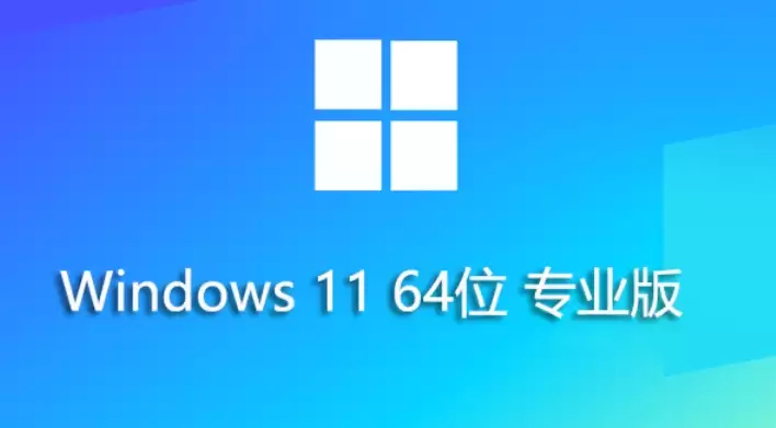 Windows 11 רҵ�� 64λϵͳ��װ���Ż�ȫָ��