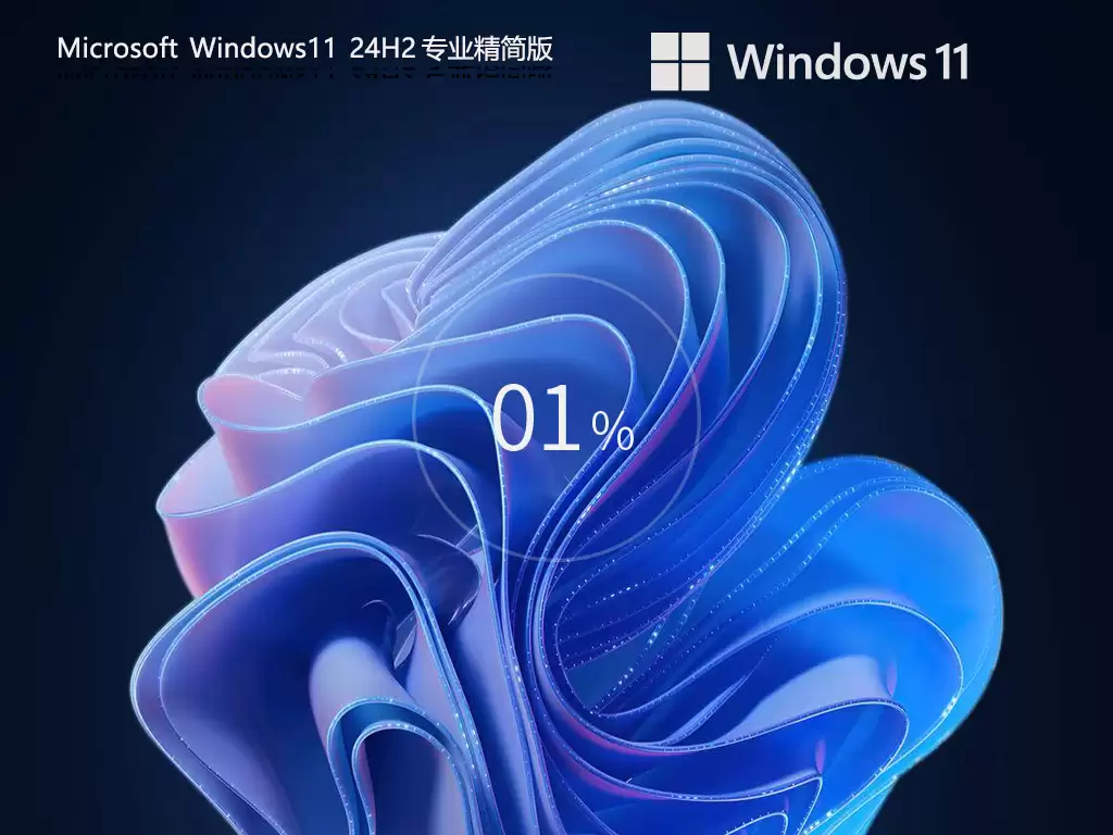 Windows 11 24H2 רҵ�����ϵͳ��װͼ�Ľ̳�