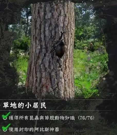��ɫɳĮ�����ռ���ս����ȫ����
