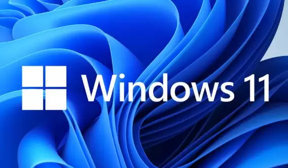 Windows 11专业版64位系统安装教程与优化指南_wishdown.com Windows 11专业版64位系统安装教程与优化指南_wishdown.com