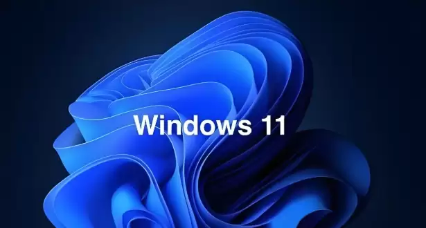 Windows 11 64位纯净版系统安装详细图文教程_wishdown.com Windows 11 64位纯净版系统安装详细图文教程_wishdown.com