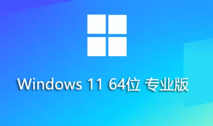 Windows 11 23H2 רҵ�氲װ�̳��벽�����