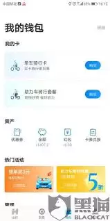 ����˳�糵�����������Ͷ������