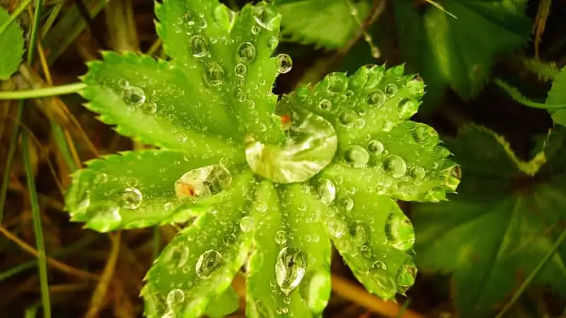 适合周一早上发的有力量带着光的句子旺自己_wishdown.com 适合周一早上发的有力量带着光的句子旺自己_wishdown.com