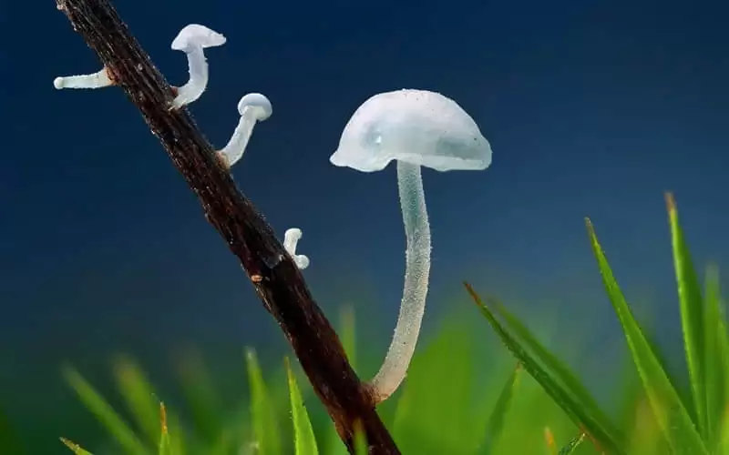 哪些句子让你读后久久不能忘怀精辟而走心果断收藏分享_wishdown.com 哪些句子让你读后久久不能忘怀精辟而走心果断收藏分享_wishdown.com