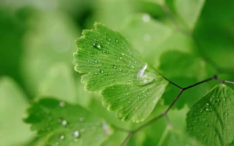 哪些句子让你读后久久不能忘怀精辟而走心果断收藏分享_wishdown.com 哪些句子让你读后久久不能忘怀精辟而走心果断收藏分享_wishdown.com
